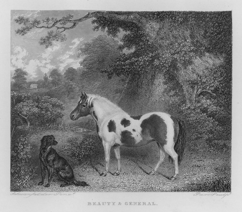 Skjønnhet og generelt (gravering) av Charles Henry Schwanfelder