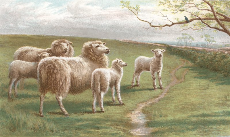 En sang om våren (chromolitho) av Charles Jones