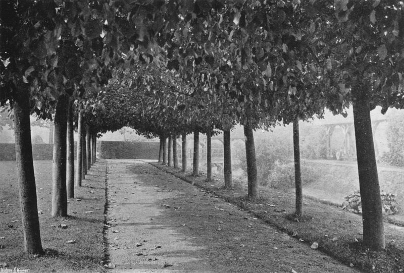 The Pleached Walk (s/hvitt bilde) av Charles Latham