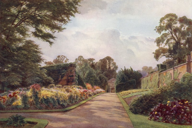 Tidlige krysantemum, Claremont (farge litho) av Cyril Ward