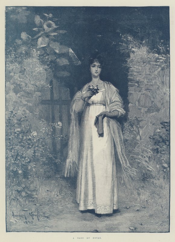 En rose fra Devon av Davidson Knowles