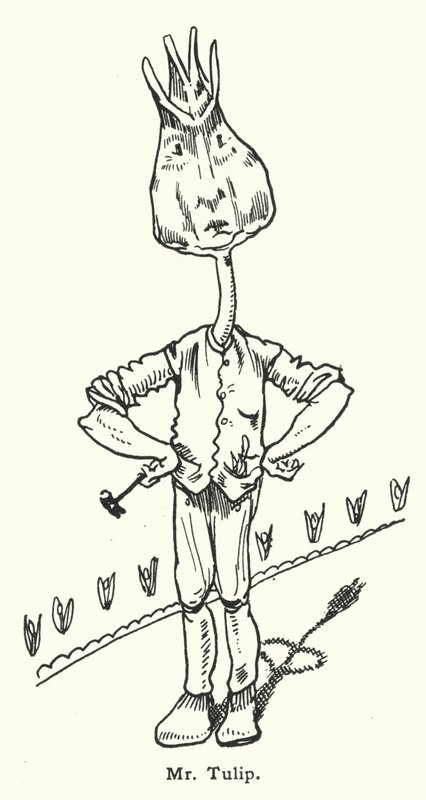 Herr Tulip av Dion Clayton Calthrop