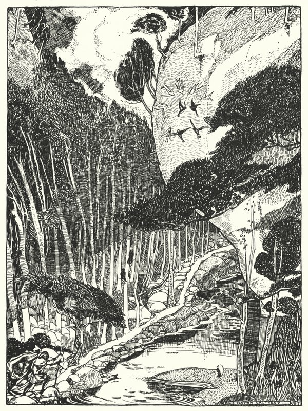 The Dim Forest (gravering) av Dion Clayton Calthrop