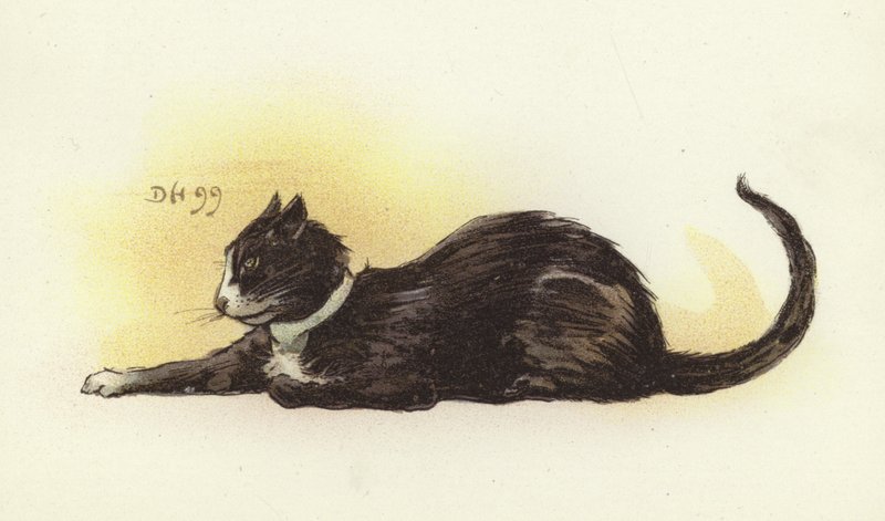 Savoy Cat av Dudley Hardy