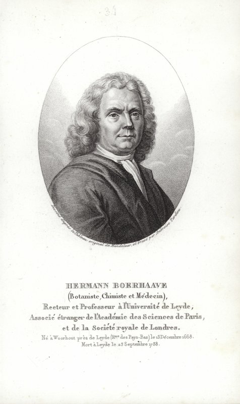 Herman Boerhaave av Dutch School