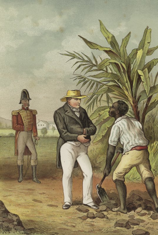 Napoleon på St Helena av Dutch School