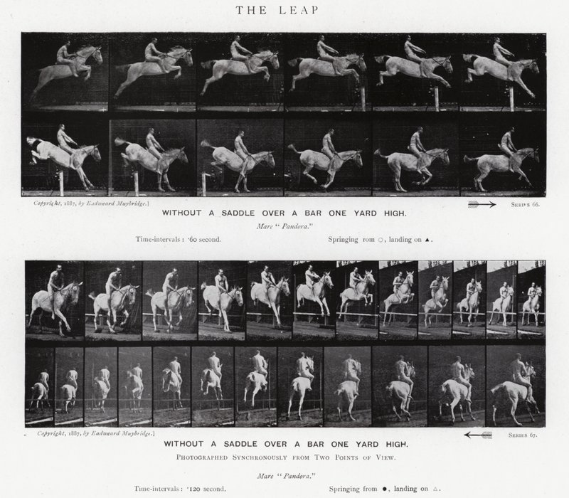 Eadweard Muybridge: The Leap (s/hvitt-bilde) av Eadweard Muybridge