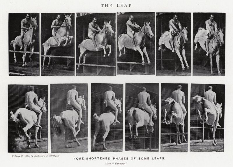Eadweard Muybridge: The Leap (s/hvitt-bilde) av Eadweard Muybridge