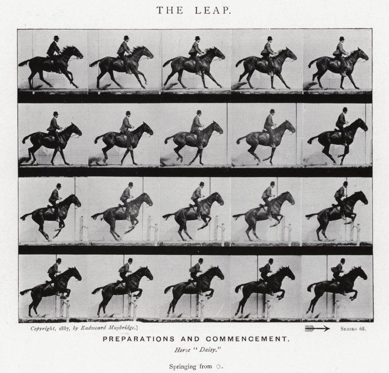 Eadweard Muybridge: The Leap (s/hvitt-bilde) av Eadweard Muybridge