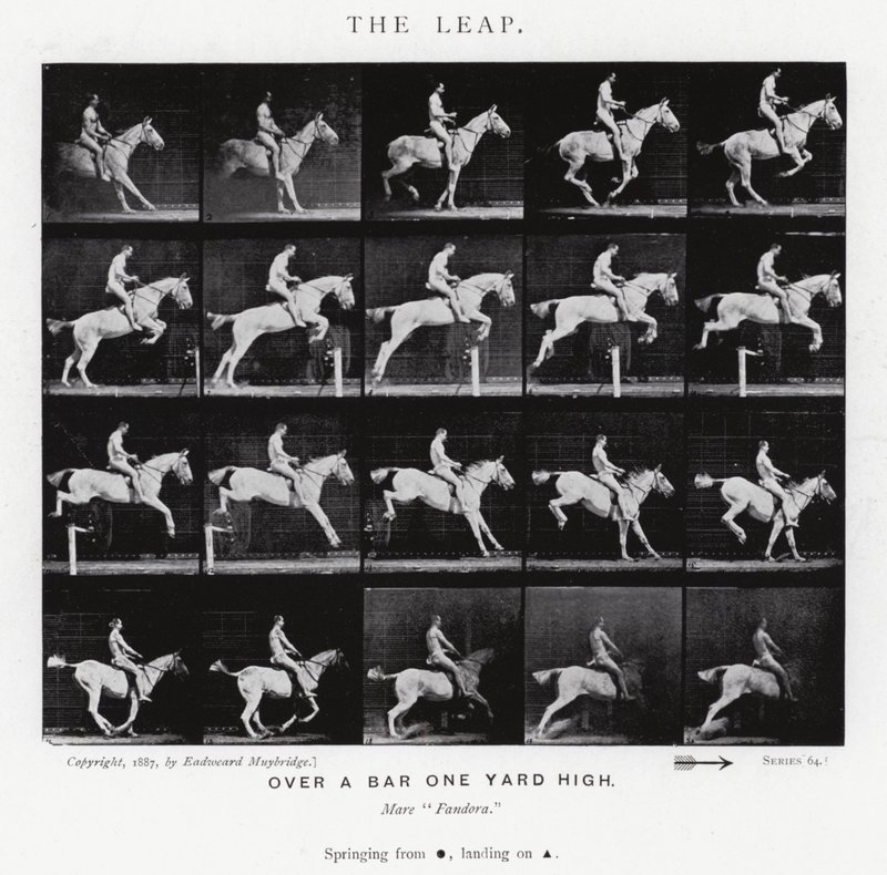 Eadweard Muybridge: The Leap (s/hvitt-bilde) av Eadweard Muybridge