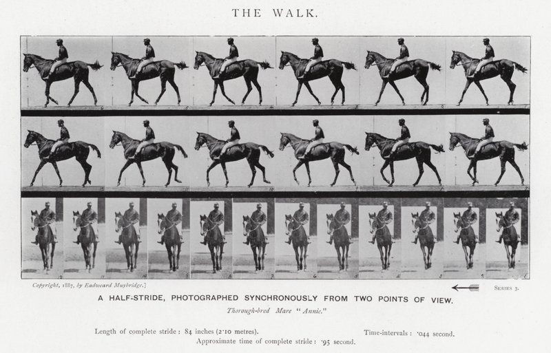 Eadweard Muybridge: The Walk (s/hvitt bilde) av Eadweard Muybridge