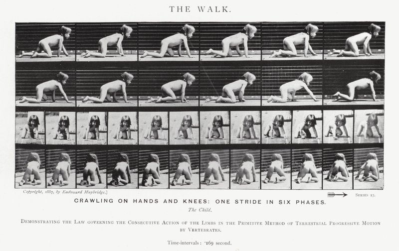 Eadweard Muybridge: The Walk (s/hvitt bilde) av Eadweard Muybridge