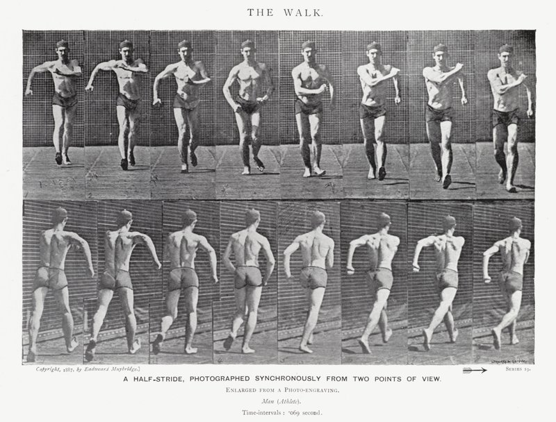 Eadweard Muybridge: The Walk (s/hvitt-bilde) av Eadweard Muybridge