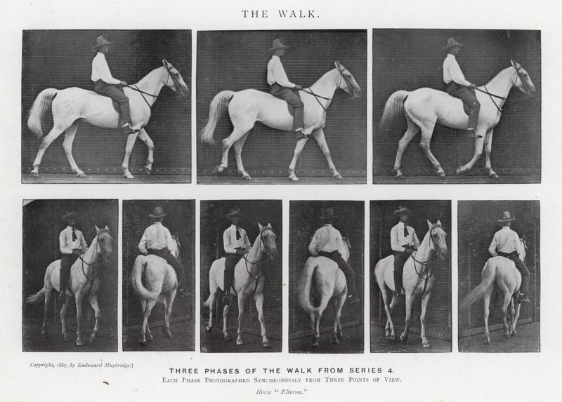 Eadweard Muybridge: The Walk (s/hvitt bilde) av Eadweard Muybridge