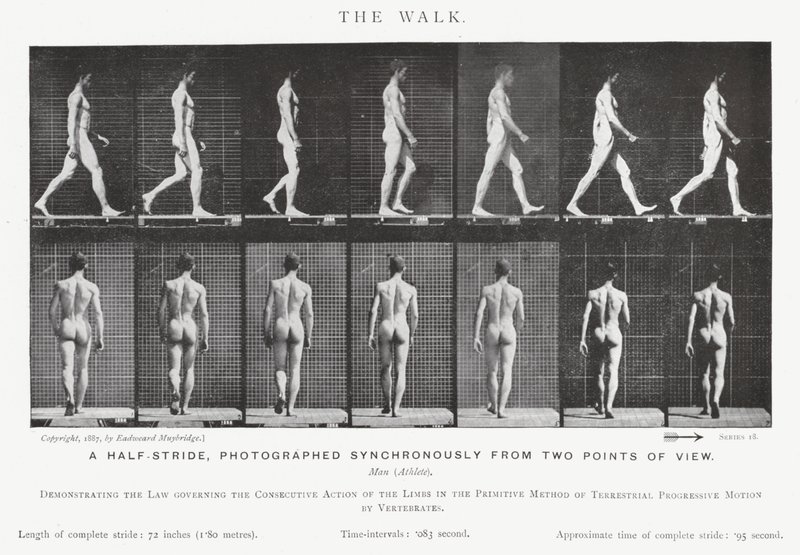 Eadweard Muybridge: The Walk (s/hvitt bilde) av Eadweard Muybridge