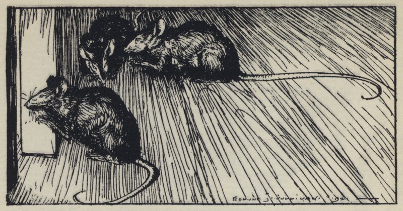 Illustrasjon for Tennysons Maud av Edmund Joseph after Sullivan