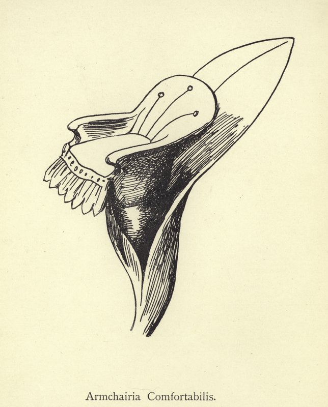 Lenestol Comfortabilis av Edward Lear