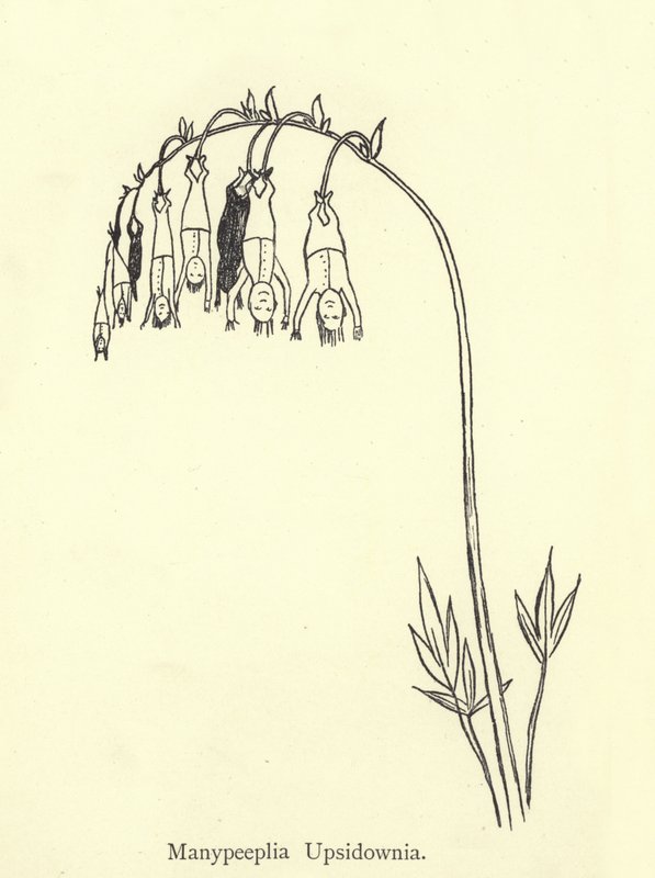 Manypeeplia Upsidownia av Edward Lear