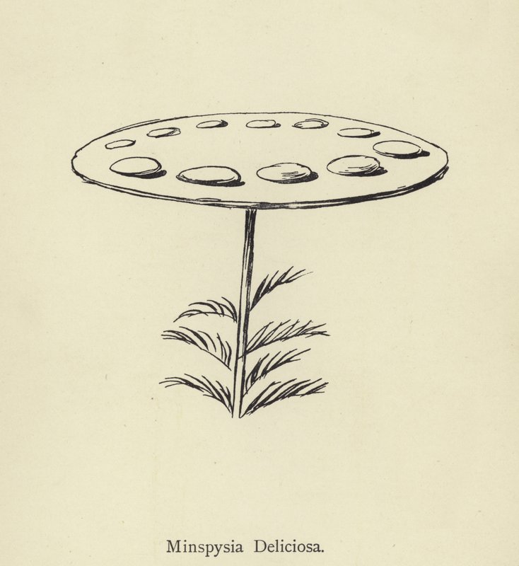 Deilig Minspysia av Edward Lear