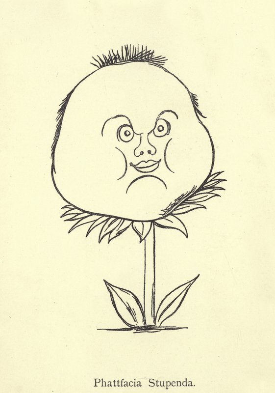 Fantastisk Phattfacia av Edward Lear
