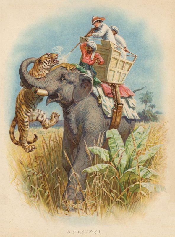 A Jungle Fight (farge litho) av Edward Brice Montefiore
