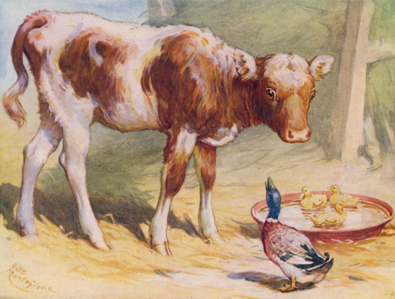 Kalv og ender (farge litho) av Edward Brice Montefiore
