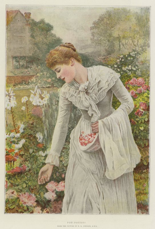 Pot-Pourri av Edward Killingworth Johnson