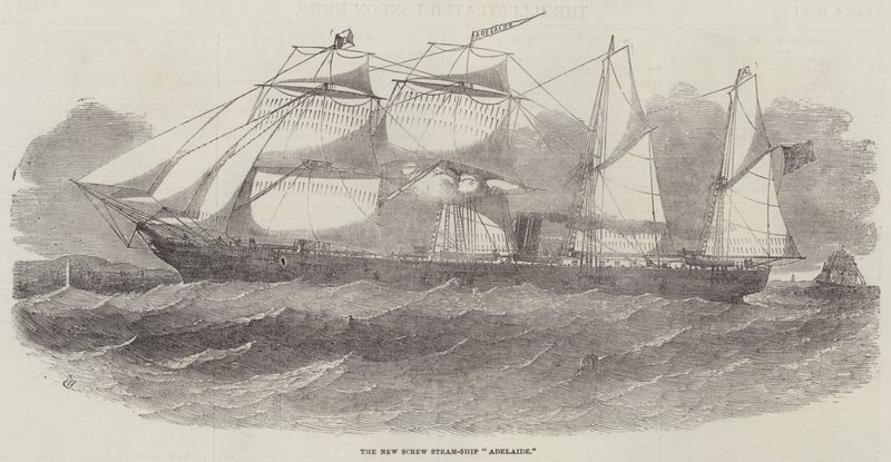 The New Screw Steam-Ship Adelaide av Edwin Weedon