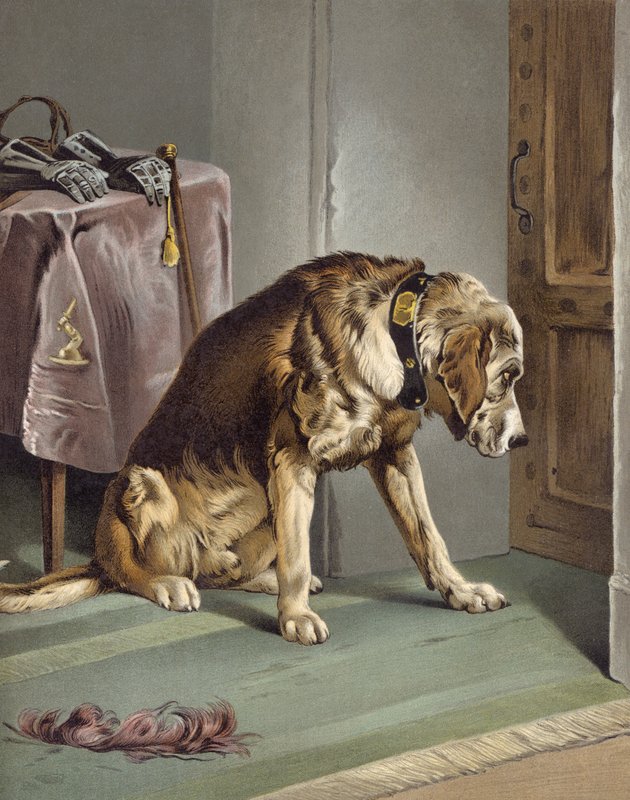 Spenning av Edwin after Landseer