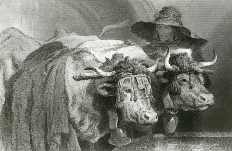 Okser ved tanken, Genève (gravering) av Edwin (after) Landseer