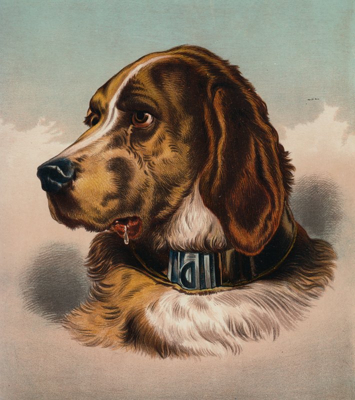  av Edwin (after) Landseer