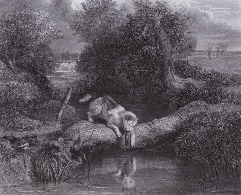 Hunden og skyggen (gravering) av Edwin (after) Landseer