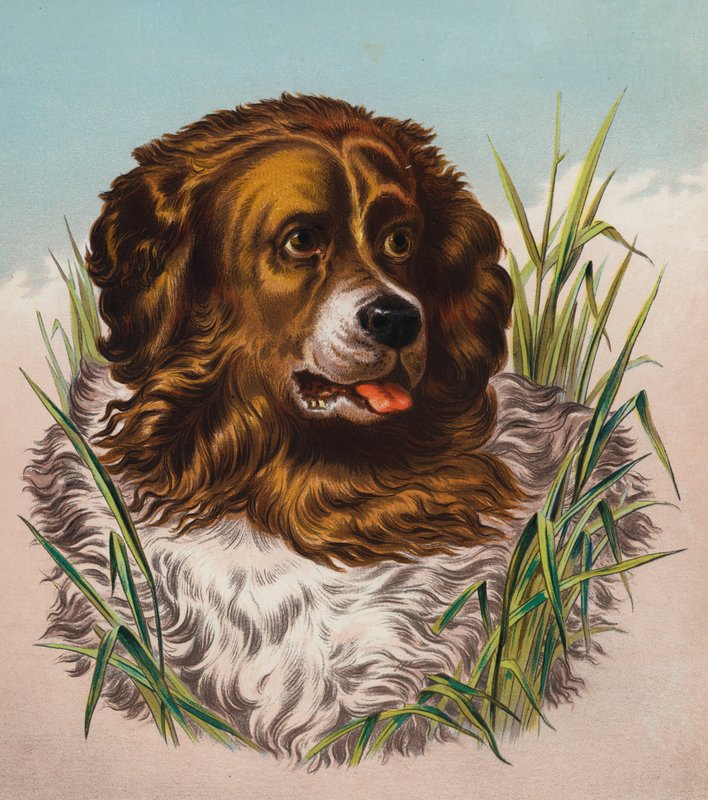  av Edwin (after) Landseer