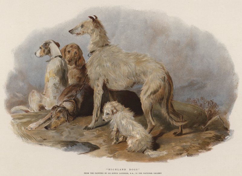 Highland Dogs (chromolitho) av Edwin Landseer