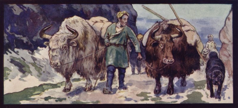 Et Thibetan Yak Train (fargemedlemmer) av Edwin Noble
