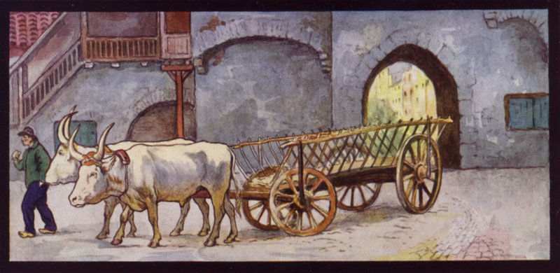 Utkast til okser i Spania (farge litho) av Edwin Noble