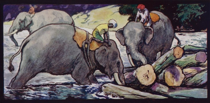 Elefanter som håndterer tømmerstokker i elven (farge litho) av Edwin Noble
