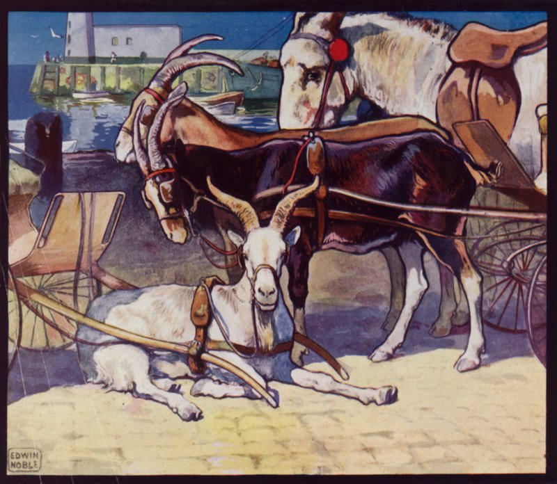 Geitevogner (farge litho) av Edwin Noble