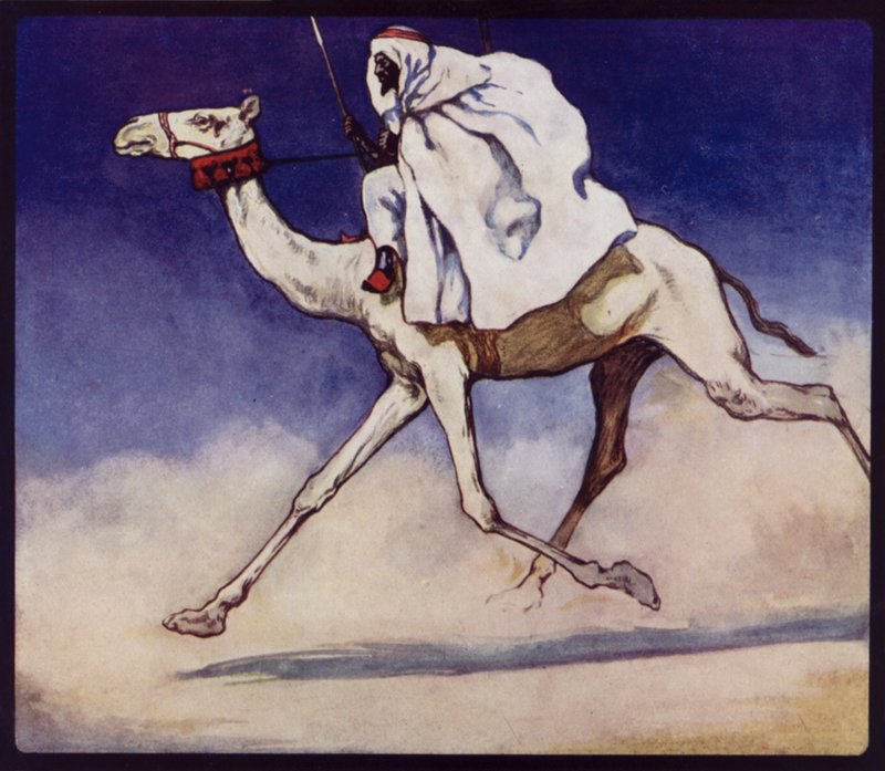Racing Camel (farge litho) av Edwin Noble