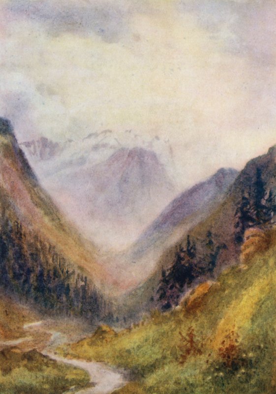  av Effie Jardine