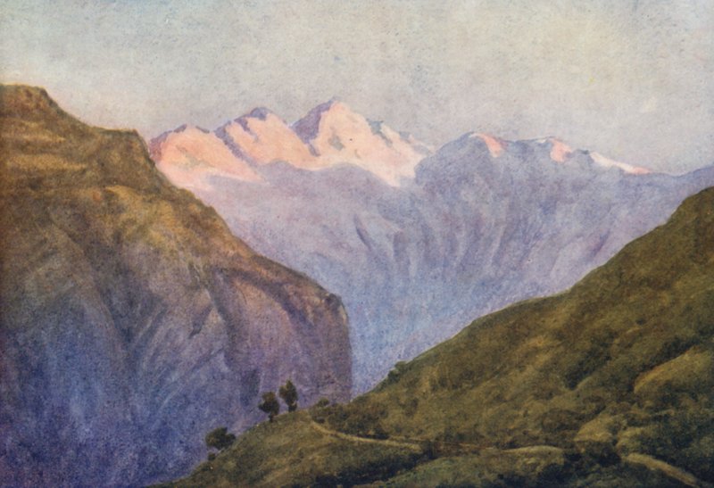  av Effie Jardine