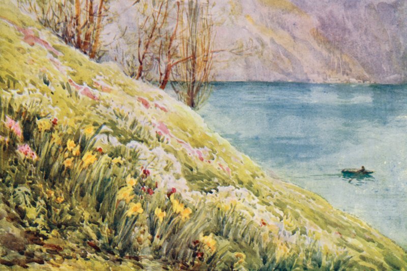  av Effie Jardine