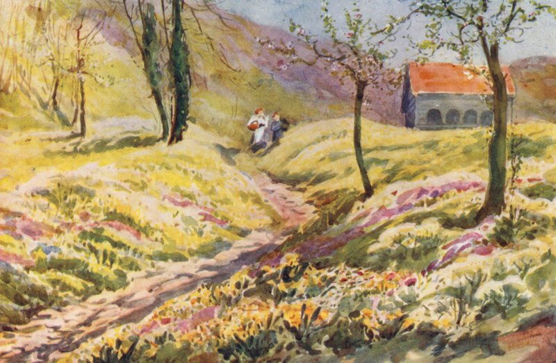  av Effie Jardine