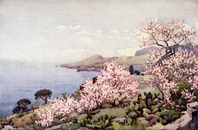 Mandelblomst (farge litho) av Ella Du Cane