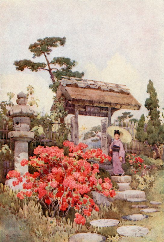 Azalea (farge litho) av Ella Du Cane
