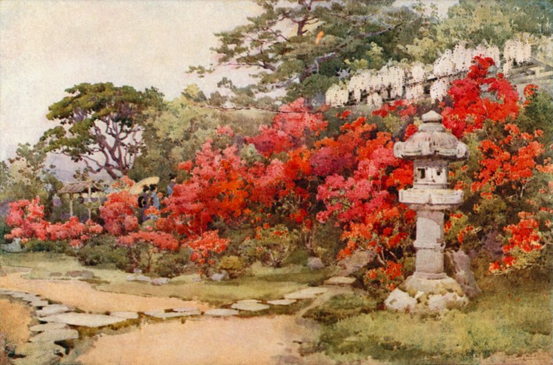 Azalea, Awata (farge litho) av Ella Du Cane