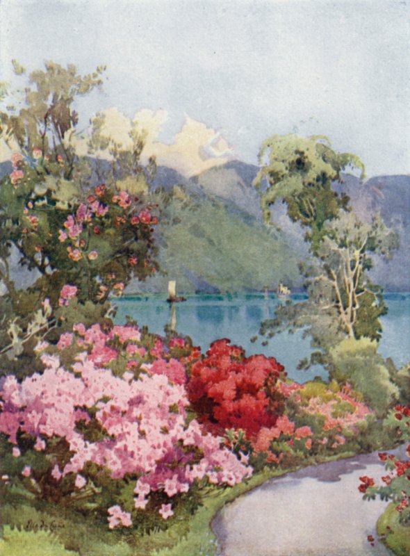 Asalea, Comosjøen (farge litho) av Ella Du Cane