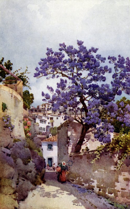 Jacaranda Tree (farge litho) av Ella Du Cane
