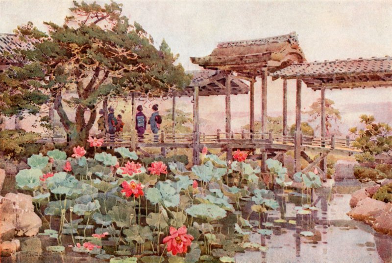 Lotus at Kodaiji (farge litho) av Ella Du Cane