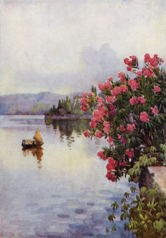 Oleandere (farge litho) av Ella Du Cane
